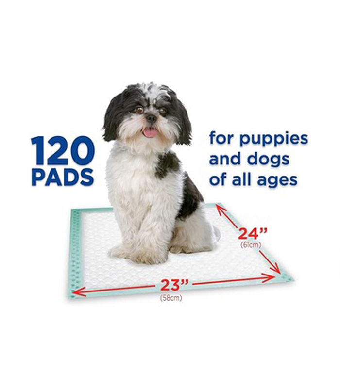 pads Member's Mark Pet Training Pads, 23" x 24" (120 Count)