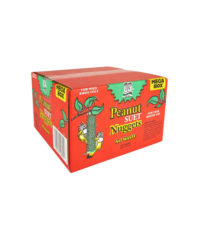 Untitled-187 C&S Peanut No-Melt Fresh Suet Dough Nuggets | Wild Bird Food 1 Count